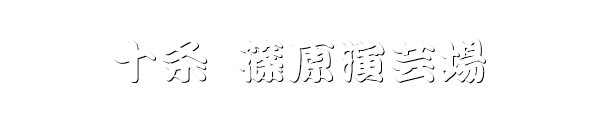 十条 篠原演芸場